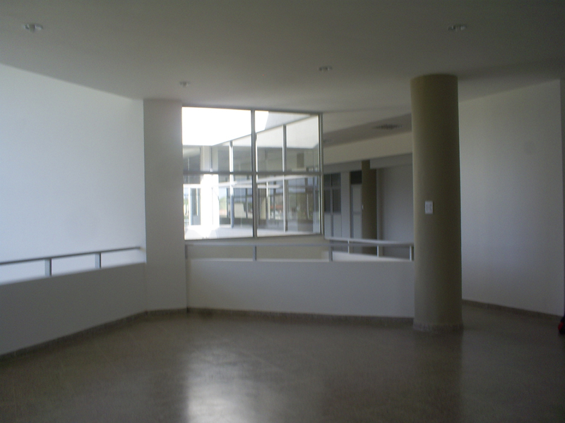 Planta alta.JPG